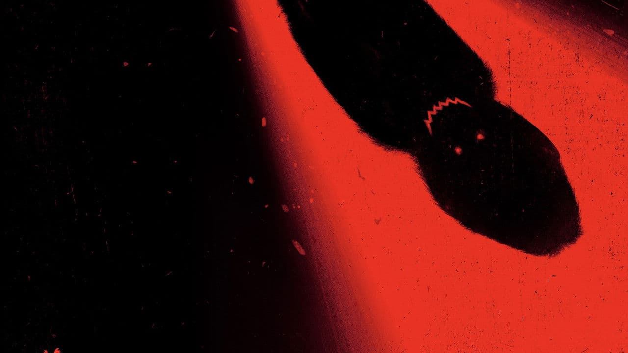 Ben - Rabbia animale