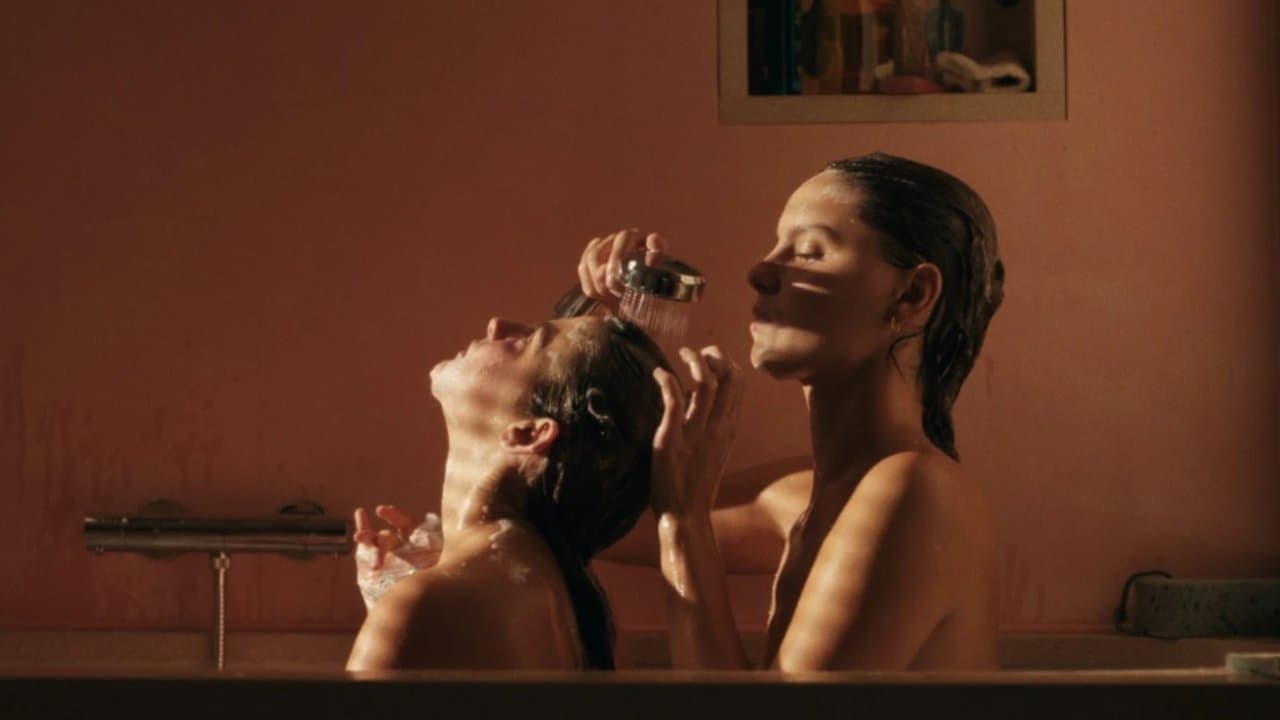 Qui Brille Au Combat