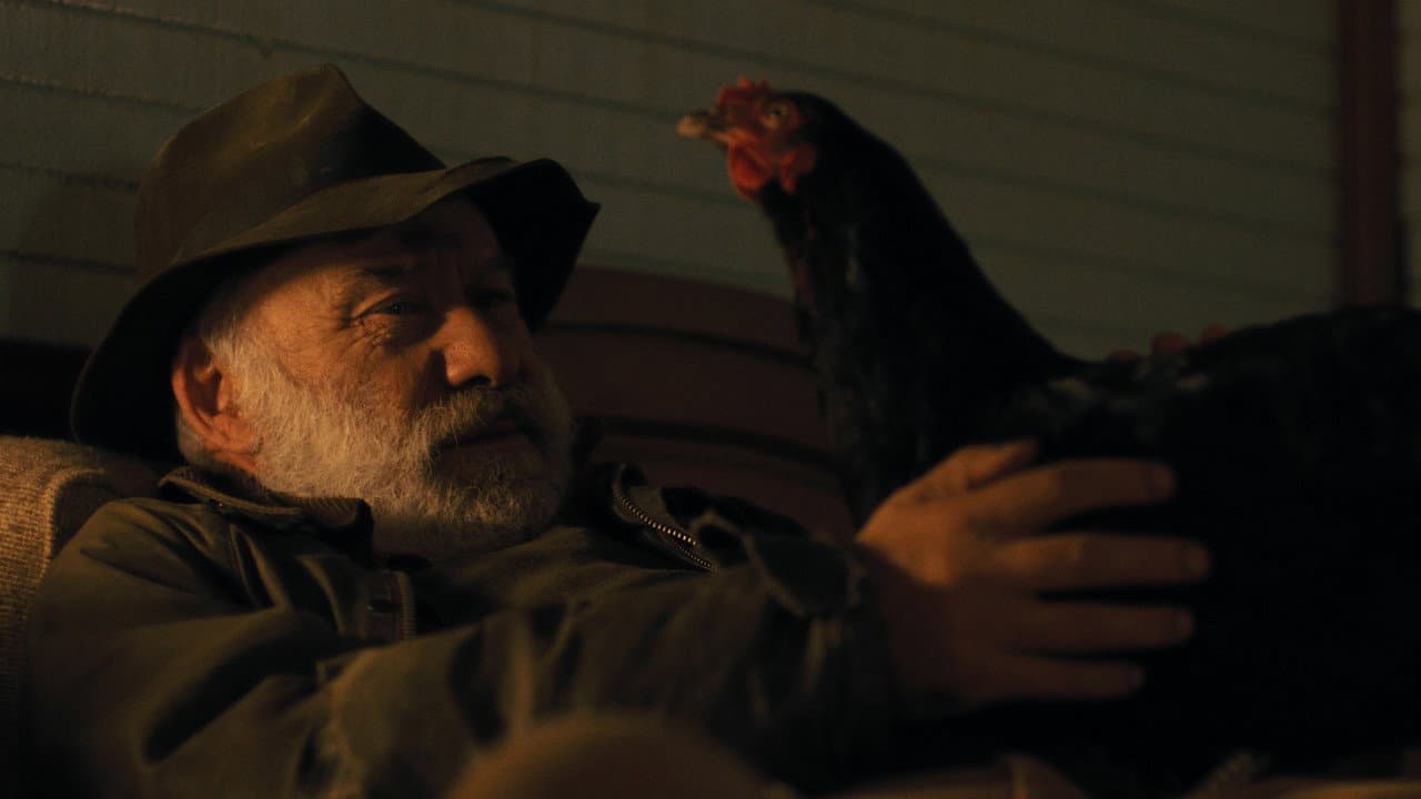 Hen - Storia di una Gallina