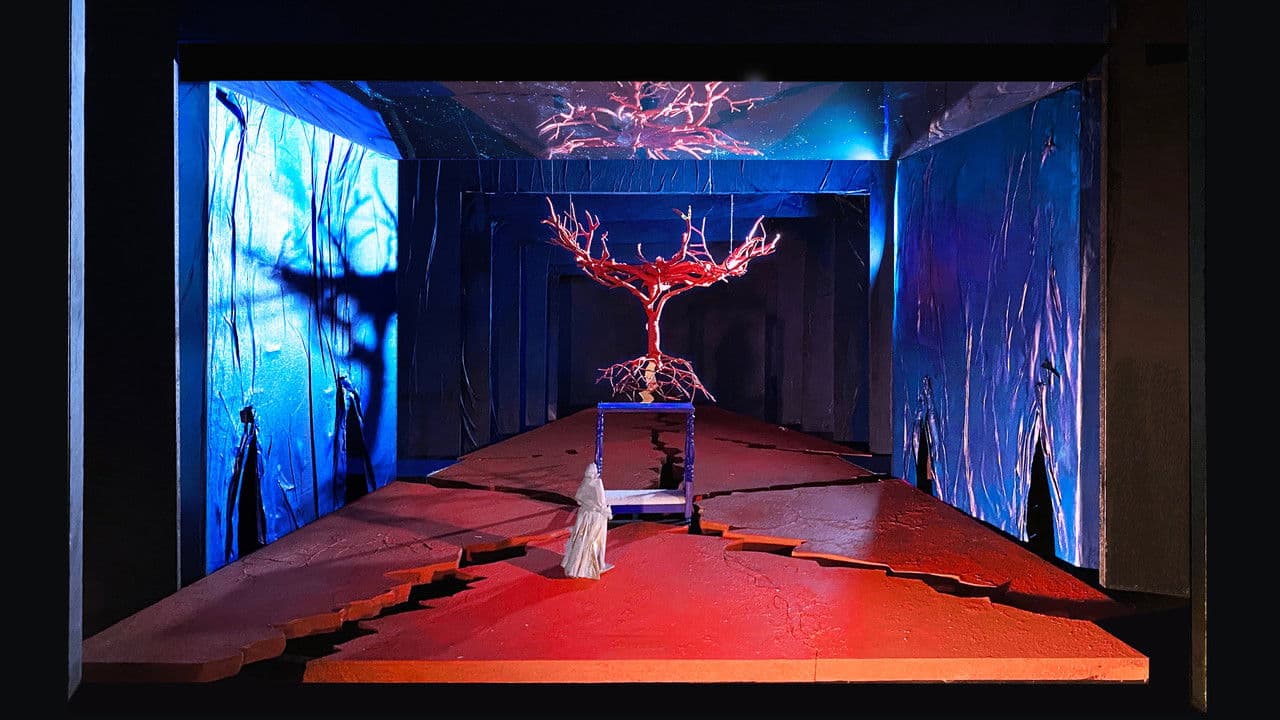 The Metropolitan Opera: El Último Sueño De Frida Y Diego