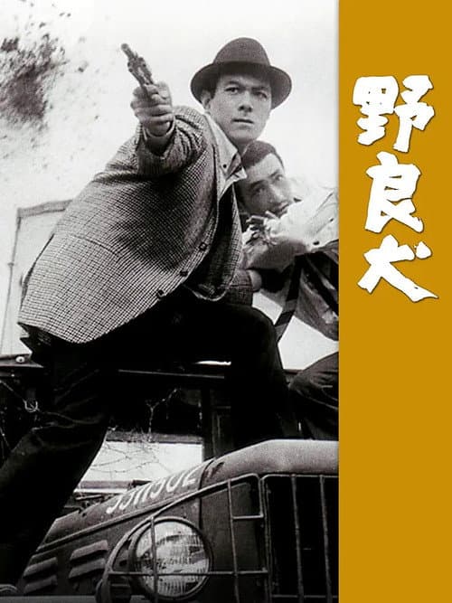 野良犬